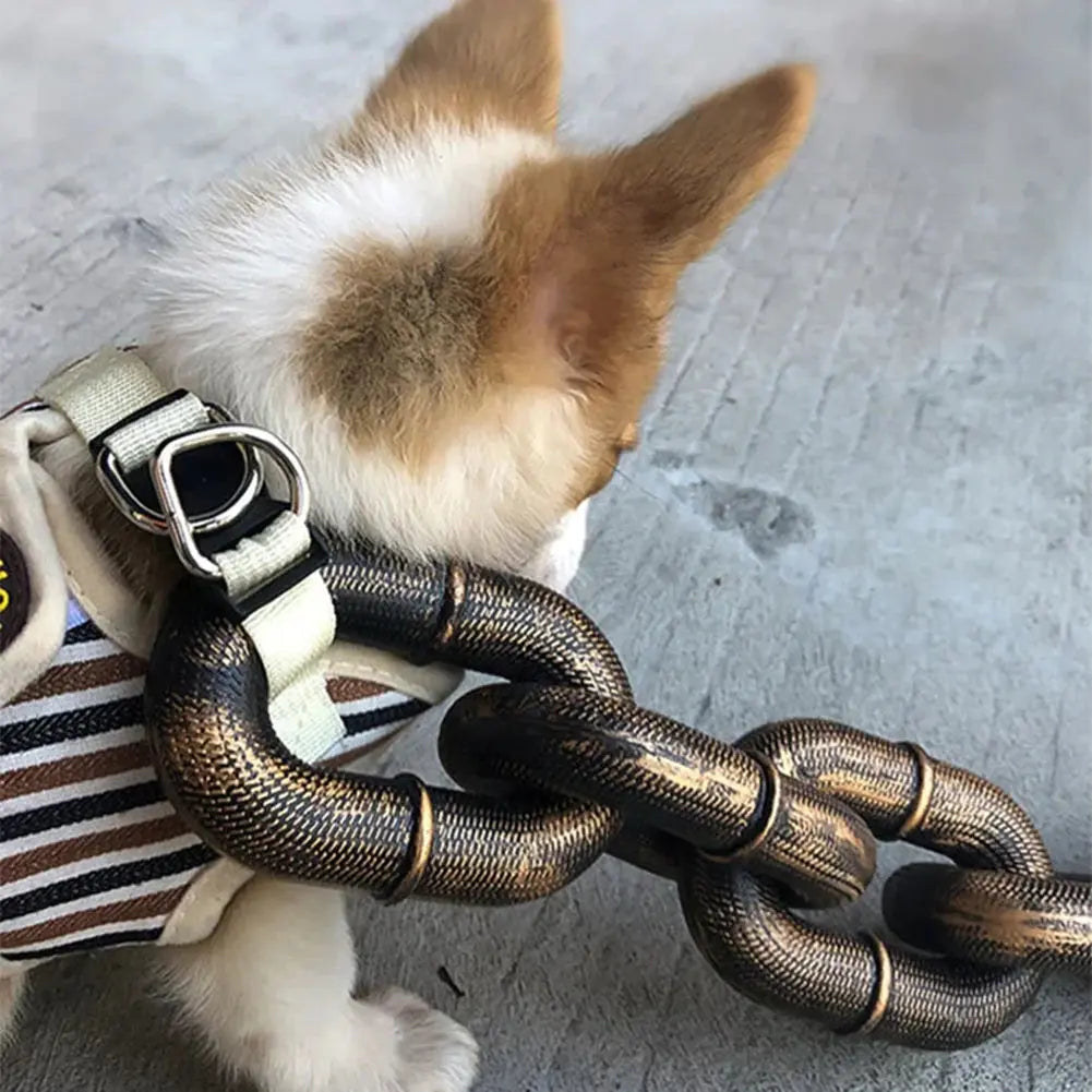 "Unbreakable Iron Chain Leash: Because Your Dog Deserves to Be a Tiny Tank!"
